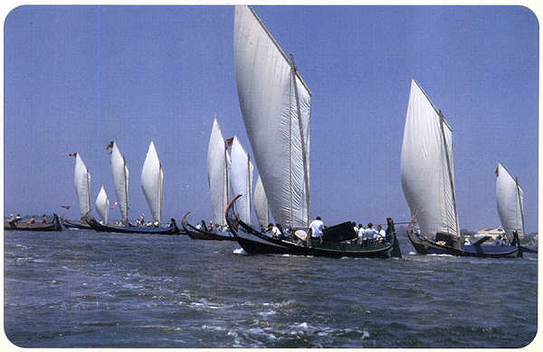 SN - Velas ao vento - Ed. C�mara Municipal de Aveiro. Foto Manuel Gamelas - SD - Dim. 15x10 cm - Col. Gaspar Albino