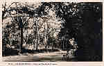 N.� 14 - Portugal Caldas da Rainha .Trecho da Mata Rainha D Leonor - Editor Havaneza Caldas da Rainha - Editado 1952 - Dim. 9x14 cm. - Col. M. Chaby