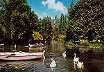 SN - Portugal - Caldas da Rainha - Lago do Parque - Editor RAN - D�cada de 1970 - Dim. 15x10 cm. - Col. M. Chaby