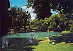 SN - Portugal. Caldas da Rainha. Lago do Parque - Editor �ncora (D�cada 1970) - Dim. 15x10 cm. - Col. M. Chaby