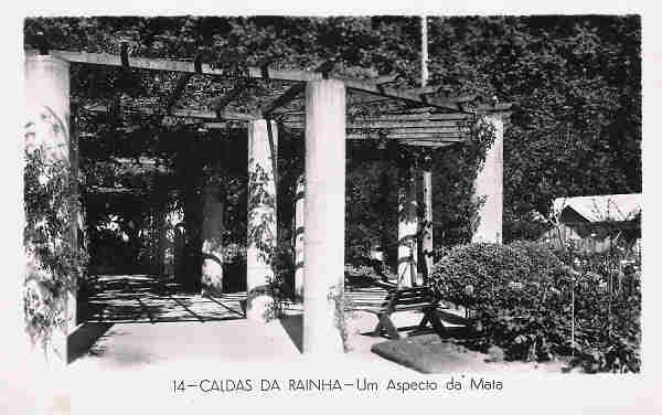 N� 14 - Portugal. Caldas da Rainha. Um Aspecto da Mata - Colec��o D�lia (Editado 1955) - Dim. 9x14 cm. - Col. M. Chaby