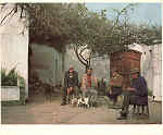 N� 28 - Cuba Portugal. P�tio de Taberna - Ed. C�mara Municipal de Cuba - Foto Lu�s Pav�o - SD - Dim. 14,5x11 cm. - Col. Ilda Bastos.