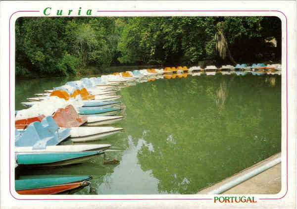 N� 4903-CURIA-Portugal-Gaivotas no Lago-Ed ANCORA-14,9x10,4cm-Colec A SIMOES 1068