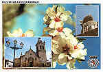 N.� 7 - Flor da Amendoeira. Igreja Matriz de Figueira - Ed. C.M. Figueira Castelo Rodrigo - Dim. 15x10,5 cm - Col. M�rio Silva