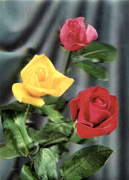 Ref.� JAPAN (k250) - Dim 14,4x10,5 cm - Col. M�rio F. Silva (1971).