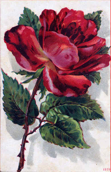 N� 1379 - Rosa - Edi��o an�nima - Dim. 14,1x9 cm - Col. Am�lcar Monge da Silva (c. 1910)