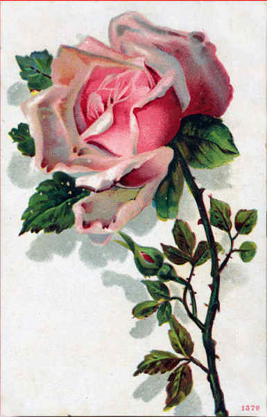 N� 1379 - Rosa - Edi��o an�nima - Dim. 14,1x9,1 cm - Col. Am�lcar Monge da Silva (cerca de 1910)