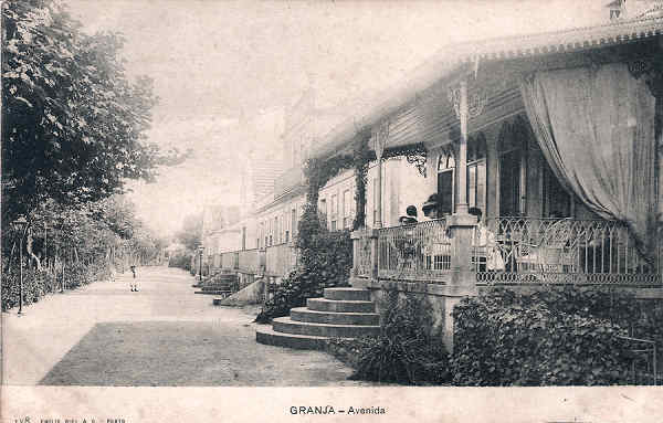 N� 138 - Portugal. Granja (Vila Nova de Gaia) (138B) - Avenida - Editor Emilio Biel - Dim. 9x14 cm. - Col. M. Chaby