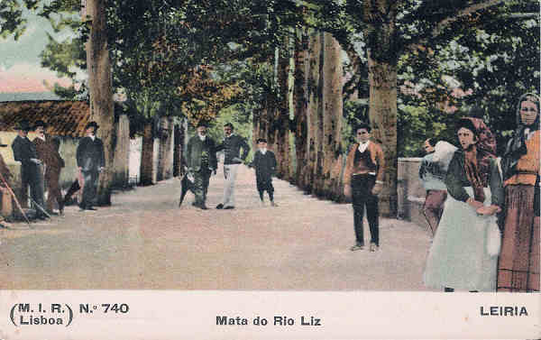 N�. 740 - Portugal. Leiria - Mata do Rio Liz - Editor M.I.R., Lisboa (1910) - Dim. 9x14 cm. - Col. M. Chaby