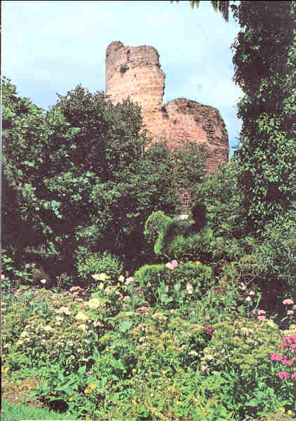 N� 26 - MOURA. Jardim e Torre de Sal�quia - Edi��o C�mara Municipal de Moura (1980) - Dim. 15x10,5 cm - Col. A. Monge da Silva