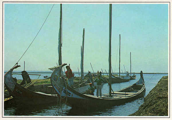 N.� 2022 - MURTOSA Cais do Bico - Ed. Centro de Caridade "Nossa Sr� do Perp�tuo Socorro", Porto - Dim.15x10,5 cm - Col. M�rio Silva.