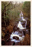 N� 8 - PENELA. Penela - Espinhal. Cascata da Pedra da Ferida - Edi��o da C�m. Munic. de Penela - 2000 - Dim. 10,5x15 cm - Col. HJCO