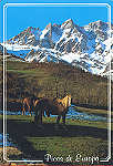 N� 50 - Picos da Europa, El Jiso. Prao Cort�s. 2.170m 2.287 m.  - Ediciones Sandi, Potes - Dim. 15x10,4 cm - Col. Am�lcar Monge da Silva (1992)