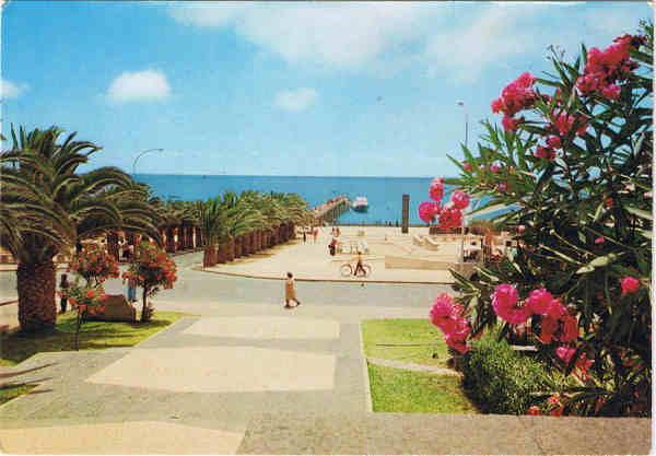 N� 246 - PORTO SANTO Alameda do Infante - Ed. BERNARDINO V.G. CARV�O APARTAMENTOS PIORNAIS-BLOCO 9-3.�A - FUNCHAL LITO OF. ARTISTAS REUNIDOS-PORTO - SD - Dim. 15x10,5 cm - Col. Manuel B�ia (1988).