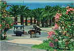N� 821 - PORTO SANTO Um aspecto da vila, com carro�a t�pica - Ed. BERNARDINO H.S. CARV�O PARQUE RESIDENCIAL DOS PIORNAIS, BLOCO 9-3.�A - 9000 FUNCHAL - SD - Dim. 15x10,4 cm - Col. Manuel B�ia (1988).