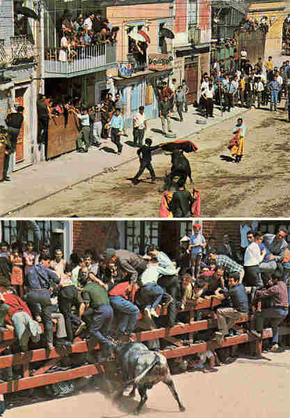 N.� 2069 - RIBATEJO - PORTUGAL Espera de Touros - Edi��o Centro de Carida de "N� Sr� do Perp�tuo Socorro", Porto - Dim.15x10,5 cm. - Col. M�rio Silva.