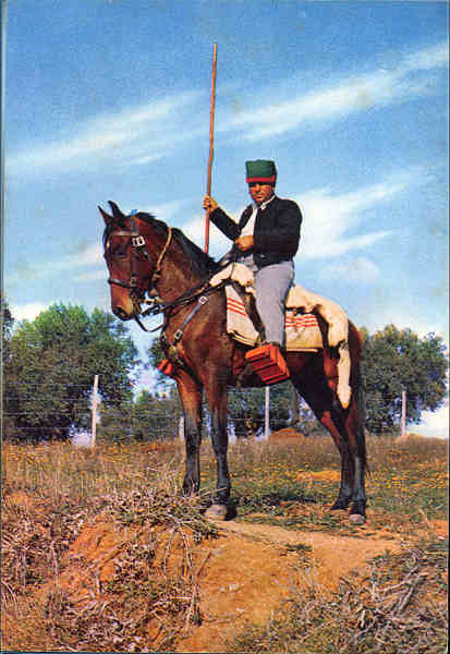 N� 830 - SANTAR�M. Campino - Edi��o J. Arthur Dixon, Ltd, Inverness, Esc�cia - SD - Dim. 14,6x9,8 cm - Col. A. Monge da Silva (1970)