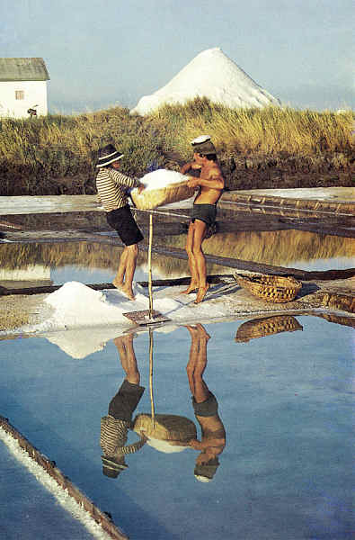 SN - Ria de Aveiro - Edi��o Extrusal (Impresso na Gr�fica do Vouga) - SD - 100x149 mm - Col. �nio Semedo