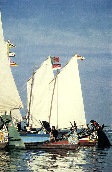 SN - Ria de Aveiro - Edi��o Extrusal (Impresso na Gr�fica do Vouga) - SD - 100x149 mm - Col. �nio Semedo