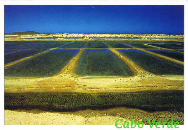 N.� 16 - Imagens de Cabo Verde. Ilha do Sal - Salinas Sta Maria - Ed. SODADE * Berlin - St� Maria * sodade@t-online.de Foto: Marit Roloff Atanazio - SD - Dim. 16,2x11,4 cm - Col. Manuel B�ia (2011)