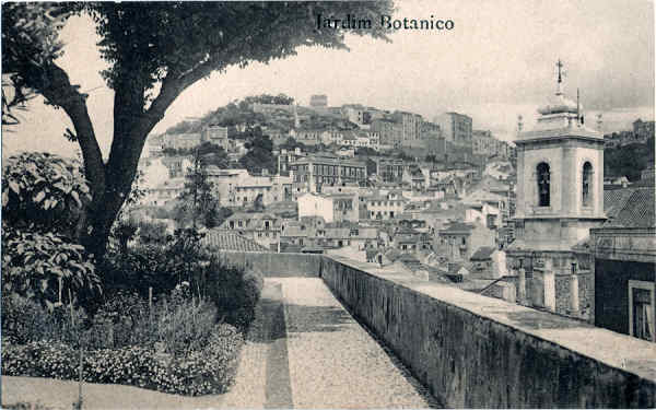 S/N - Jardim Bot�nico (1) - Edi��o da Sec��o de Postais dos Grande Armaz�ns do Chiado, Lisboa - Dim. 138x87 mm - Col. A. Monge da Silva (cerca de 1910)