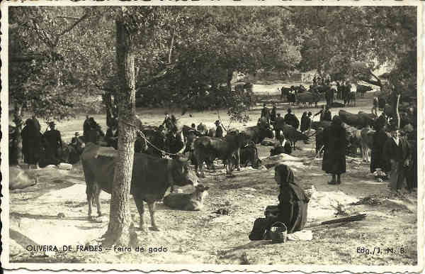 SN - Oliveira de Frades - Feira de Gado - Edi��o JNB - SD - Dim. 13x8 cm - Col. A. Jorge Tavares (1939)