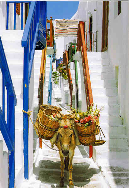 N.� 219 - GR�CIA - EDITIONS HAITALIS, 13, ASTROUS STR., 13121 ATHENS, TEL: 210 5766883 - SD - Dim. 11x16,1 cm - Col. F�tima B�ia (2007)