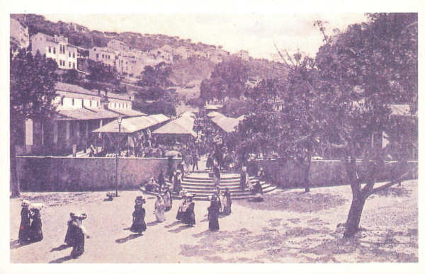 N.� 52 - Mercado Municipal D. Pedro V (Pra�a) - COIMBRA - Ed. An�nima (cerca de 2012) - Dim. 140x90 mm - Col. �nio Semedo