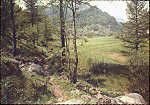 S/517 - Paisagem campestre desconhecida - Editor �SAEMEC�, Milano - Dim. 14,5x10,2 cm - Col. Monge da Silva