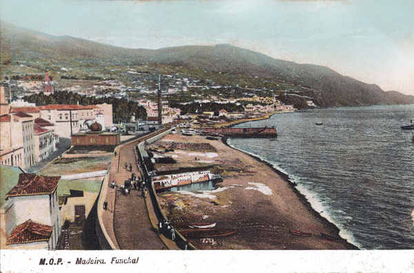 SN - Funchal, Orla Mar�tima - Editor M.P.O. - Dim. 140x93 mm - Col. A. Monge da Silva (c.1910)