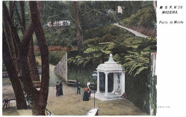 N� 36 - Funchal, Fonte do Monte - Editor M.P.O. - Dim. 140x93 mm - Col. A. Monge da Silva (c. 1907)