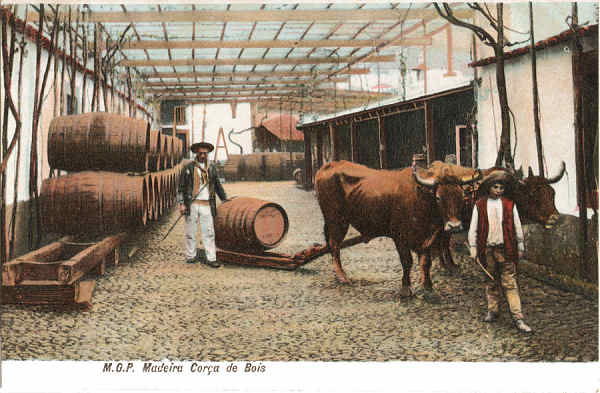 SN - Cor�a de Bois (1) - Editor M.P.O. - Dim. 140x92 mm - Col. A. Monge da Silva (c.1910)