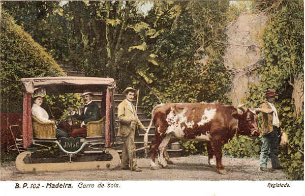 N.� 102 - Carro de Bois (2) - Editor B.P. - Dim. 140x90 mm - Col. A. Monge da Silva (c.1907)