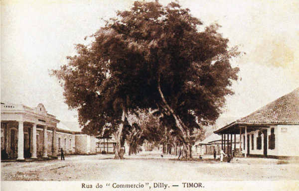 SN - Rua do "Commercio", Dilly - Timor - Edi��o L.Geisler -  SD - Dim. ??x?? cm - Col. Monge da Silva (Cerca de 1910)
