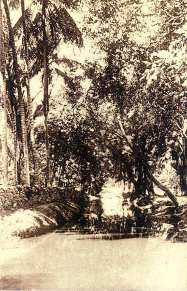 SN - Timor Portugu�s - Coil�o, Dili - Edi��o da Miss�o - SD - Dim. ??x?? cm - Col. Monge da Silva (Cerca de 1927)