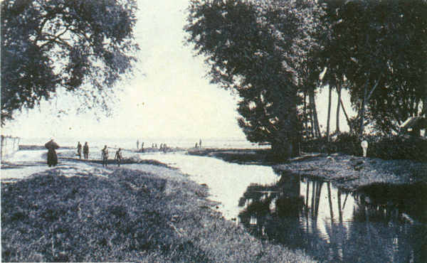 SN - Timor Portugu�s - Foz do coil�o Ceb�, Dili - Edi��o da Miss�o - SD - Dim. ??x?? cm - Col. Monge da Silva (Cerca de 1927)