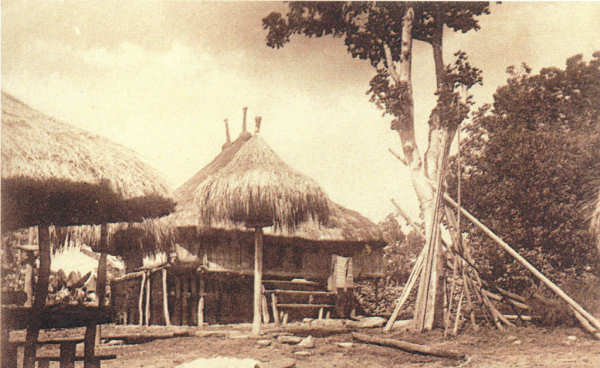 SN - Timor Portugu�s - Casas ind�genas no interior - Edi��o da Miss�o - SD - Dim. ??x?? cm - Col. Monge da Silva (Cerca de 1927)