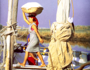 Ind�stria artesanal do sal.