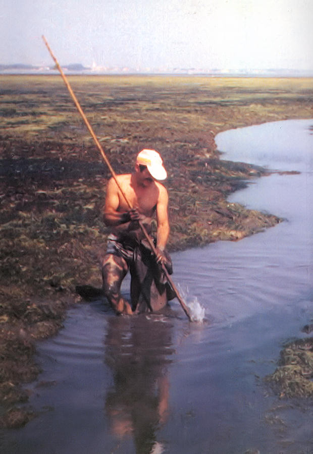 Contracapa da publica��o Enguias, de S�rgio Paulo Silva. Clicar para voltar ao �ndice.