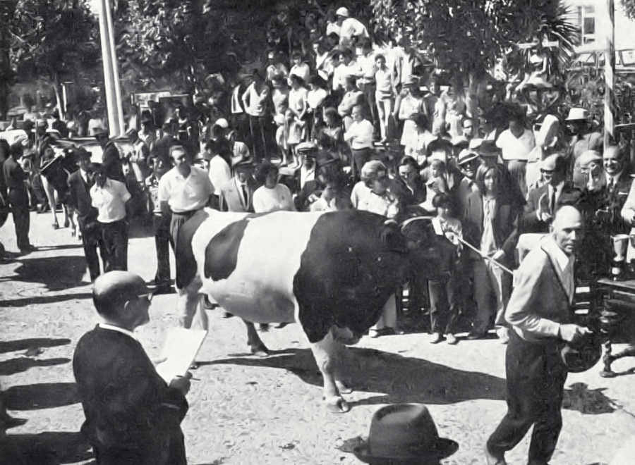 Clicar para ampliar.
