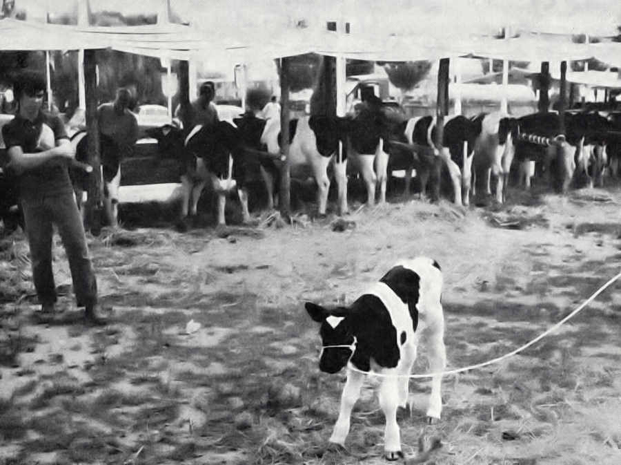 Clicar para ampliar.