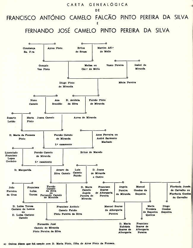 Carta genealógica de Francisco António Camelo Falcão Pinto Pereira da Silva... Clicar para ampliar.