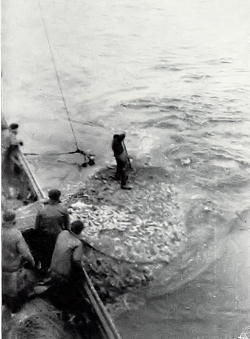 Clicar para ampliar.