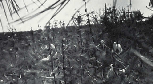 Clicar para ampliar.