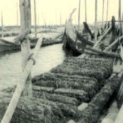 Fotografia de D. Jos� de Castro.  / p. 27 /