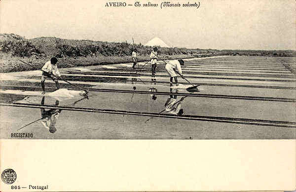 N.� 865 - Aveiro As salinas - Editor A Martins, Lisboa - SD - Dimens�es 14x9,1 cm. - Col.  FMSarmento.