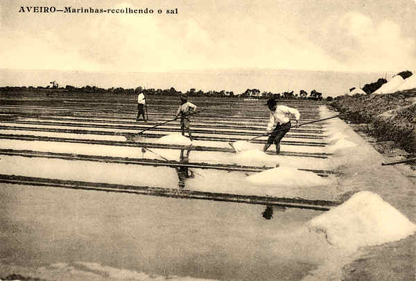 S/N - Aveiro Marinhas Recolhendo o sal - Editor n�o indicado - SD - Dimens�es 13,1x8,8 cm. - Col.  FMSarmento.