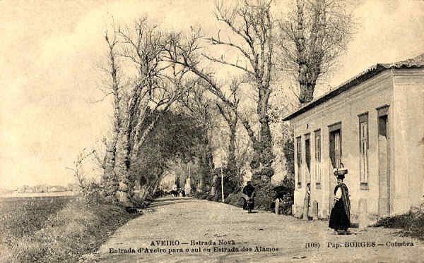 N.� 108 - Aveiro Estrada nova. Entrada d'Aveiro para o sul ou Estrada dos Alamos - Edi��o da Pap. Borges, Coimbra - SD - Dimens�es 13,8x8,7 cm. - Col.  FMSarmento (Circulado em 17-3-1905).