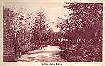 SN - AVEIRO Jardim P�blico - Edi��o Souto Ratolla, Aveiro - SD - Dimens�es: 14x9,2 cm. - Col. FMSarmento