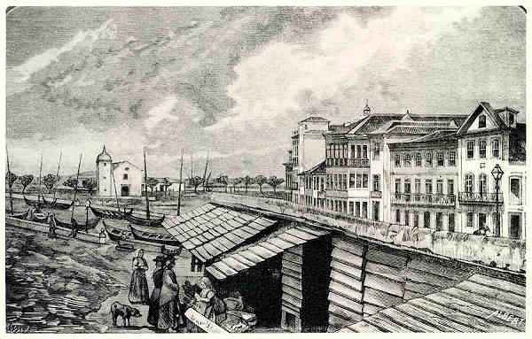 Clicar para ampliar a imagem.